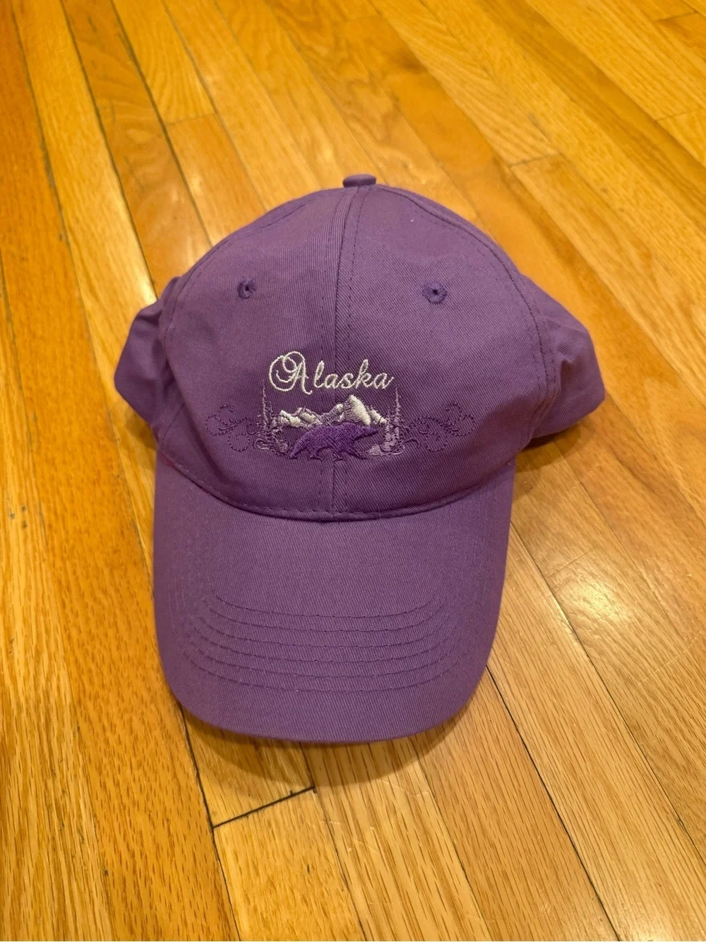 Alaska Embroidered Purple Baseball Cap